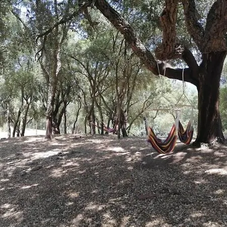 En Corse Avec Piscine Chauffee *