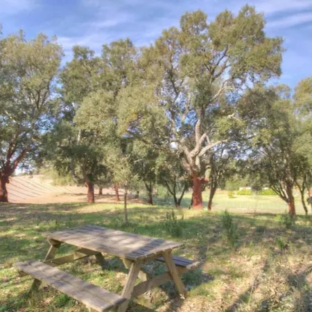 شقة En Corse Avec Piscine Chauffee *