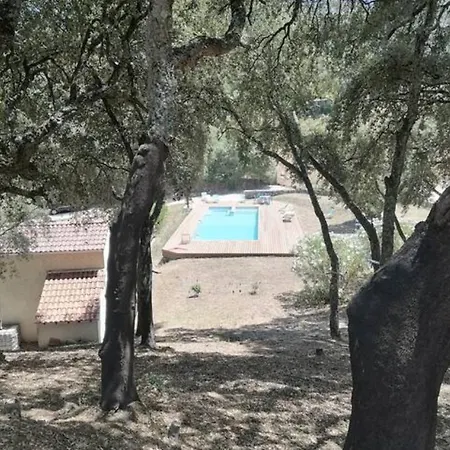 En Corse Avec Piscine Chauffee