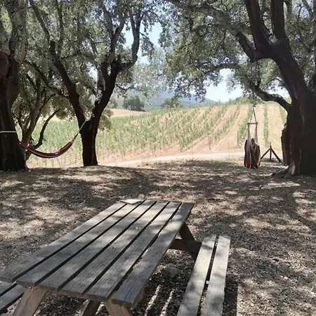 Appartamento En Corse Avec Piscine Chauffee