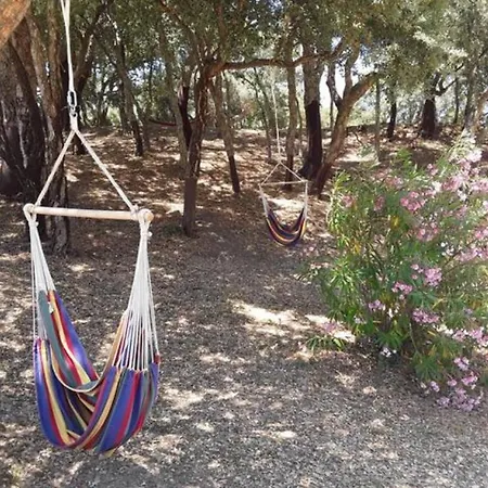 En Corse Avec Piscine Chauffee شقة