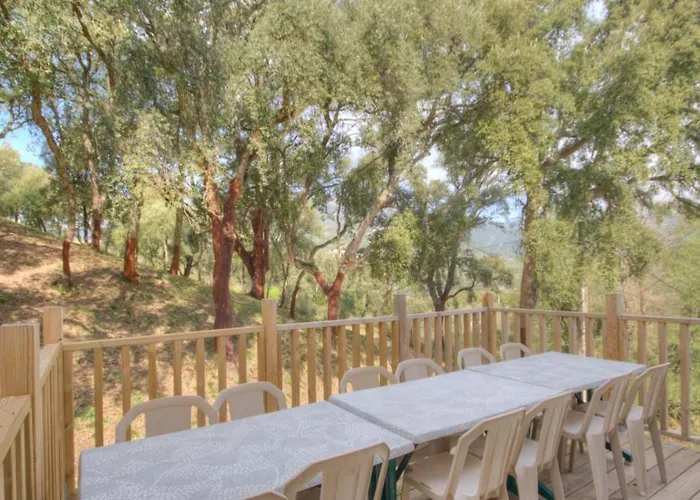 En Corse Avec Piscine Chauffee Apartment Carbuccia